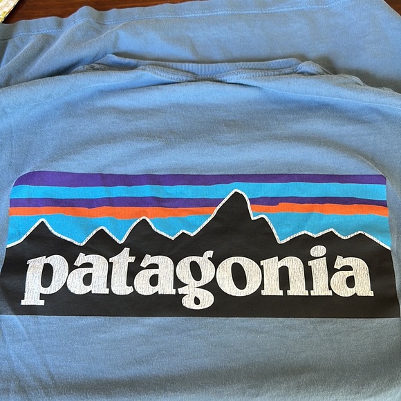 Patagonia Organic Cotton Tee - Picture 5 of 6
